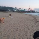 육백산 사슴농장 이미지