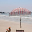 체크 인 제주 이미지