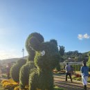 꽃섬나드리 이미지