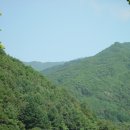 주막거리 이미지