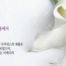 헤어마샬 이미지