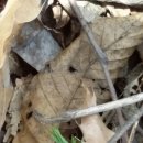 심철농장 이미지