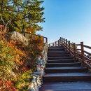 송정천체육공원 이미지