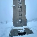 2026년 1월 25일 대관령 선자령 눈꽃 트레킹 (일요 당일) 이미지
