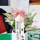 해송메디칼 이미지