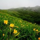 퀘렌시아 이미지