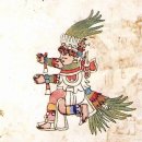 신 달토끼 이미지