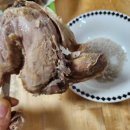 칠갑산토종닭