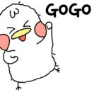 선영패키지