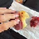 화수목민박 | 프랑스 파리 3일