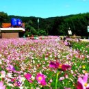 옛날다방 - 중구 대둔산로 469-1 | 옛날다방