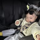 아기랑오키나와 Day2 가볼만한곳 츄라우미수족관, 근처맛집 제이스키친