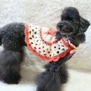 원더우멍 이미지