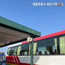 군산평화중고등학교 | 설 연휴 즉흥 제주도 여행 1일차(군산공항, 돈사돈, 신비의도로, 김녕해수욕장, 평화통일 불사리탑...