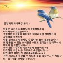 말랑말랑 그림책 테라피 이미지