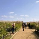 하늘공원 이미지