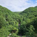 좌구산자연휴양림 이미지