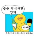 닥터포헤어 성신여대점 | [서울 닥터포헤어 성신여대점] 두피케어 유목민 정작지 내돈내산 두피케어 리뷰