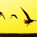 부곡한옥펜션 이미지