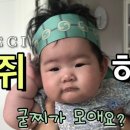 쁘띠쟈니 이미지