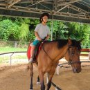 서울금성초등학교 이미지