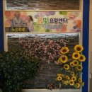 봄빛요양센터