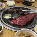 3월 폭삭 속았수다