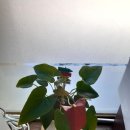 고원관광휴게소 이미지