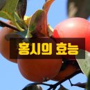 홍시