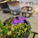 생극농장 이미지