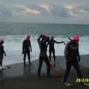 에스티엠 이미지