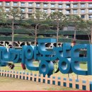 2025년 안동 농축특산물 직거래 장터 ＜왔니껴 안동장터＞ 10월 27일 서울광장에서 개최 이미지
