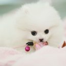 수원-0505 이미지