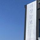 의성늘보