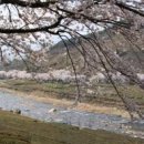 천년의 정원 이미지