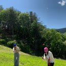 가평 양떼목장 이미지