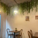 무초타코 이미지