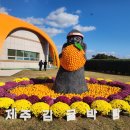 서귀포농업기술센터 청사 | 제주감귤박람회 2025 방문 후기, 입장료 셔틀버스 프로그램 정리