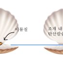 진주 - 여수시 좌수영로 16-6 | 진주