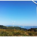 조은목장 이미지