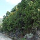 나무랑숲 이미지