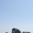 갑수씨랑 청양 칠갑산(561m), 고운식물원( 2023-5-16. 화) 이미지