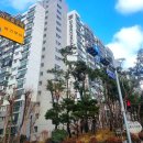 수서7단지㉵ | 수서역아파트 신동아아파트 강남구재건축 임장 후기