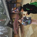 엄지유치원 | 제목: 가을 남이섬 1박 2일 가족여행! 신축 숙소 히아신스 &amp; 숲 유치원 출신 남매의 숲 체험 후기