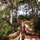 무릉도원면-41 이미지