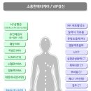 건메디케어 이미지