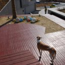 트로피칼드림리조트 이미지