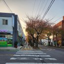 아쿠아수족관 이미지