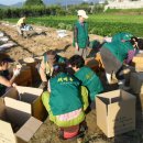 노곡리경로당 이미지