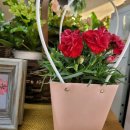 예손피아노학원 이미지